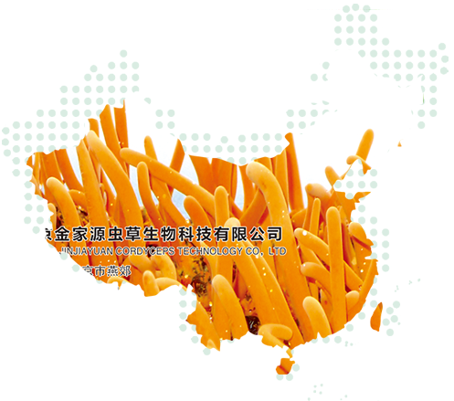 河南金家源蟲草生物科技有限公司